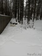 Превью фото № 240911