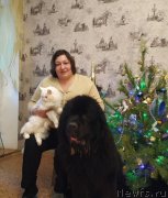 Превью фото № 240921