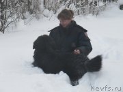 Превью фото № 240959