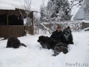 Превью фото № 240960