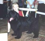 Превью фото № 241