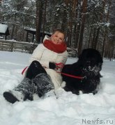 Превью фото № 241040