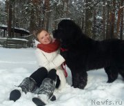 Превью фото № 241041