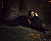 Превью фото № 241049