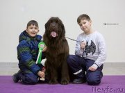 Превью фото № 241089