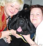 Превью фото № 24111