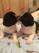 Превью фото № 241138