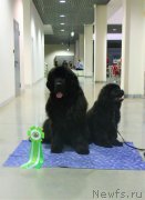 Превью фото № 241148