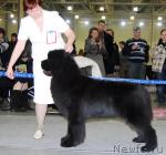 Превью фото № 24117