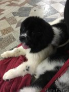 Превью фото № 241173