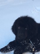 Превью фото № 241210