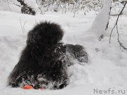 Превью фото № 241218