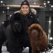 Превью фото № 241221