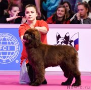 Превью фото № 241222