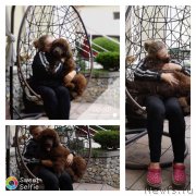 Превью фото № 241224