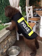 Превью фото № 241225