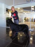 Превью фото № 241229