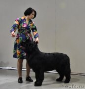 Превью фото № 241253