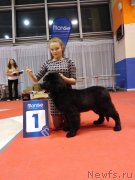 Превью фото № 241261