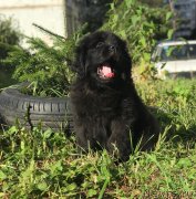 Превью фото № 241263