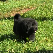 Превью фото № 241285