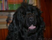 Превью фото № 241315