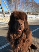 Превью фото № 241328