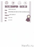 Превью фото № 241381