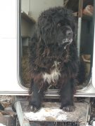 Превью фото № 241429