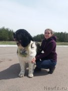 Превью фото № 241435