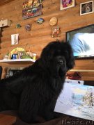 Превью фото № 241453