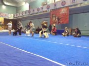 Превью фото № 241477