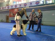 Превью фото № 241478