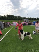 Превью фото № 241484