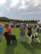 Превью фото № 241485