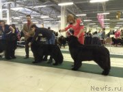 Превью фото № 241494