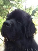 Превью фото № 241499