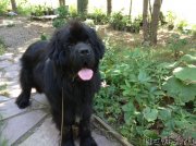 Превью фото № 241501