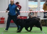 Превью фото № 241523