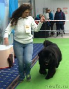 Превью фото № 241527