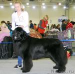 Превью фото № 24153