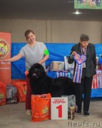 Превью фото № 241546