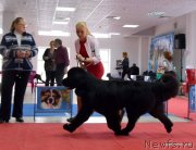 Превью фото № 241552