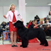 Превью фото № 241558