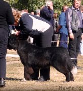 Превью фото № 241571