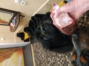 Превью фото № 241601