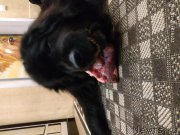 Превью фото № 241602