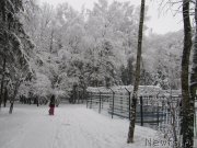 Превью фото № 241610