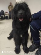 Превью фото № 241675