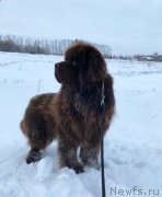 Превью фото № 241691